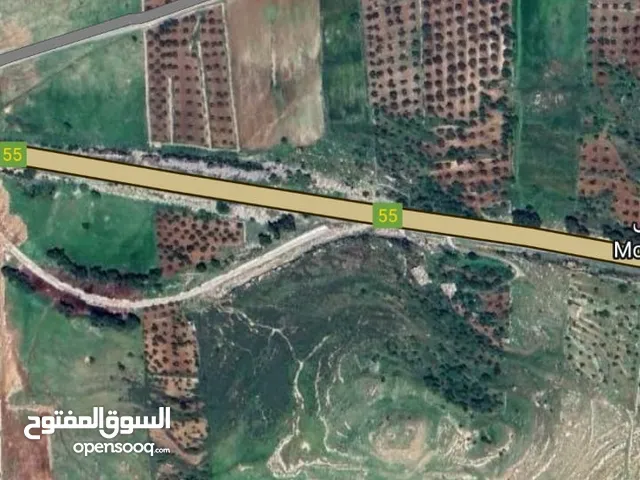 قطعة ارض للبيع وادي البطم على طريق اربد - عجلون مستقله مع قوشان