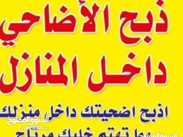 ذبح اضاحي ونذر وعقيقة