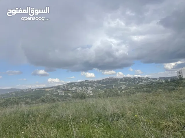 قطعة ارض 810 متر وقطعة 500 متر عراس الجبل بالحي الجديد مقابل صرة سعر المتر 180 دينار