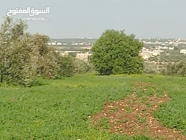 للبيع ارض 13.567 دونم جزء منها داخل حدود التنظيم