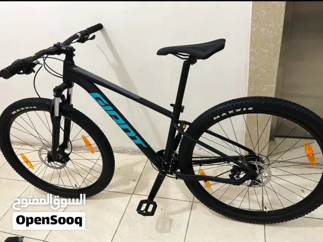 Giant 29er