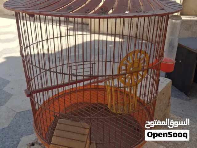 قفص عصافير جديد غير مستخدم بس مغبر