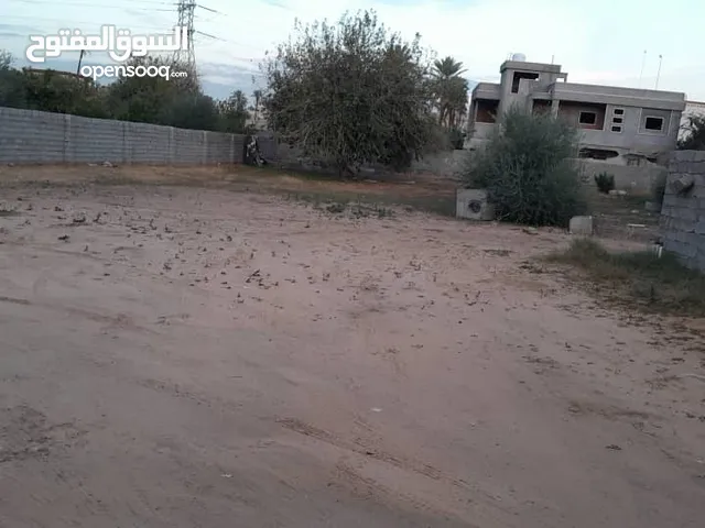 School Land for Rent in Tripoli Janzour