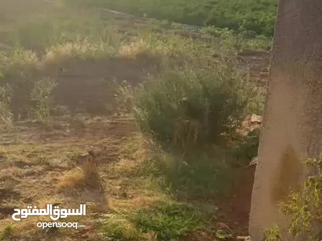 ارض للبي تصلح زراعي وصناعي طابو اخضر مفروزه