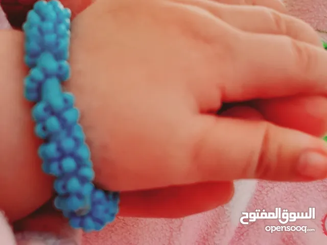 تالا نضال حسونه