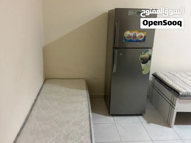 سكن شباب للإيجار الشهر