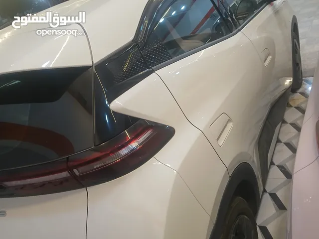 سيجال 2023 سبعه جيد