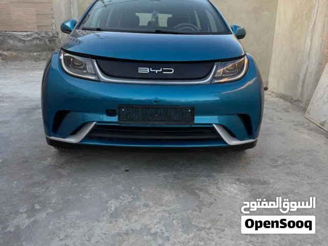 2022 بي واي دي دولفين