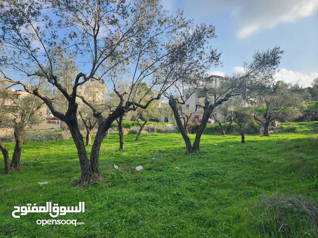 Commercial Land for Sale in Ramallah and Al-Bireh Al Irsal St.