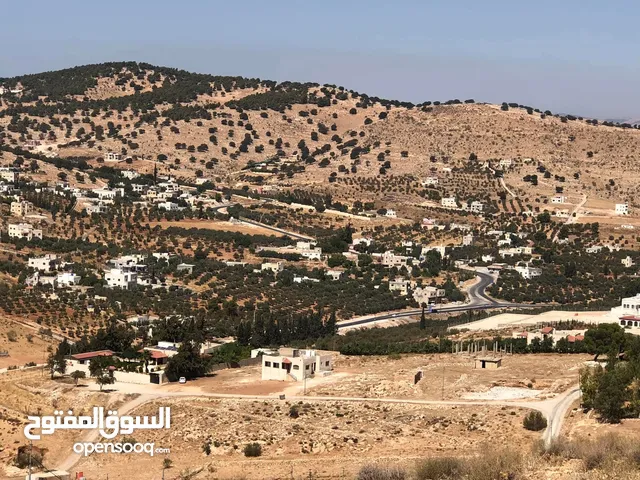 قطعه ارض في اجمل مواقع بيرين