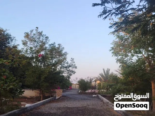 أرض زراعيه للبيع جاهزه لعمل أستراحه بها أغلب الاشياء الأساسية لعمل أستراحه، بئر ماء ، كهرباء ، ملحق