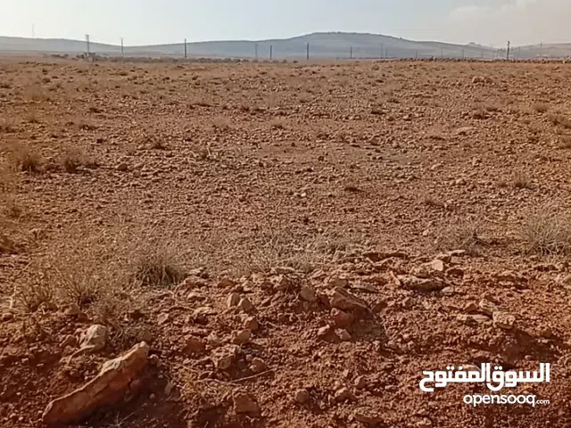 Farm Land for Sale in Rif Dimashq Al-Qutayfah