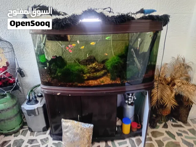 حوض سمك نباتي