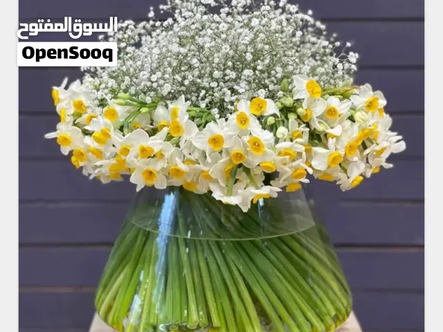 زهور النرجس ایرانی العطري