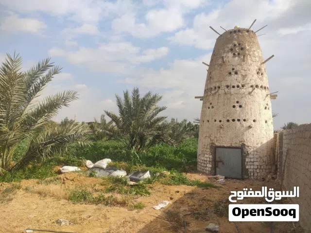 Farm Land for Sale in Fayoum Tamiya
