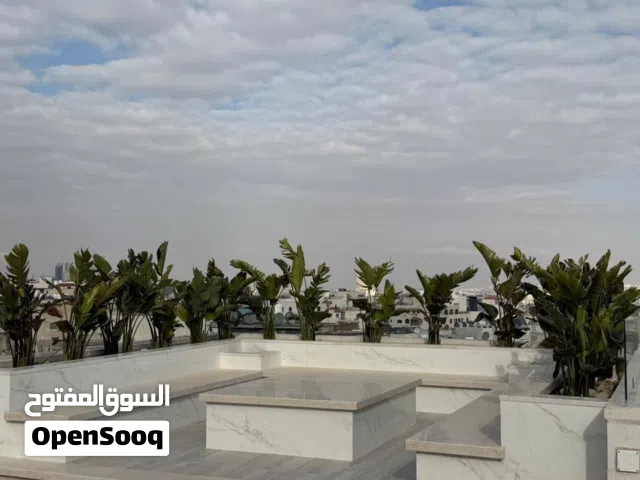 330 m2 5 Bedrooms Apartments for Sale in Amman Abdoun