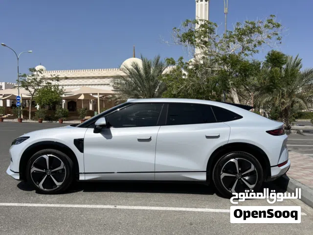 2025 بي واي دي سونج ل