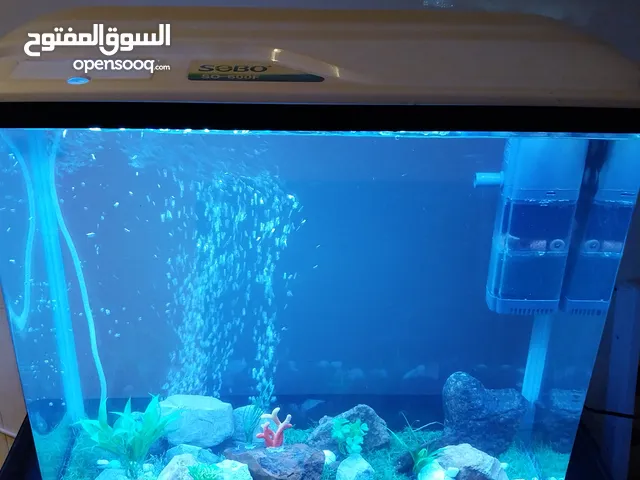 حوض سمك كامل بجميع مشتملاته seBo equrium