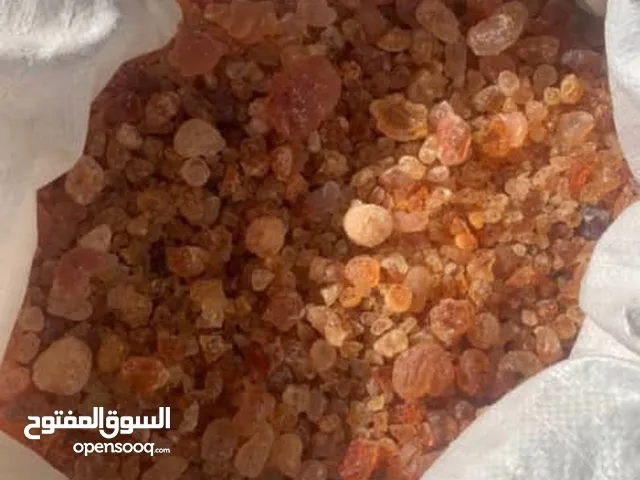 صمغ عربي  300 طن  هشاب جاهز صادر