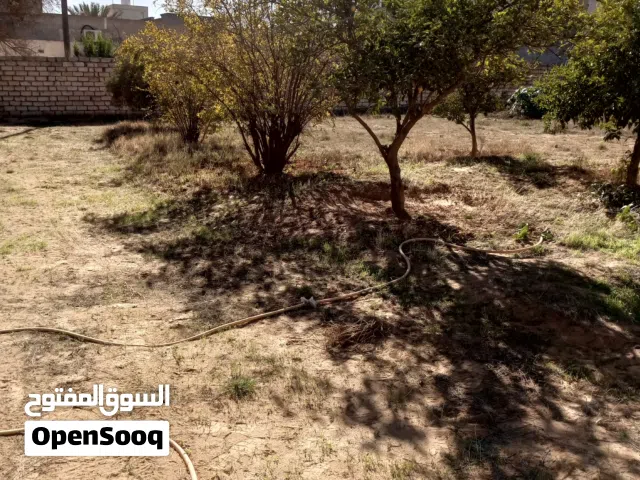 ارض ومنزلان للبيع
