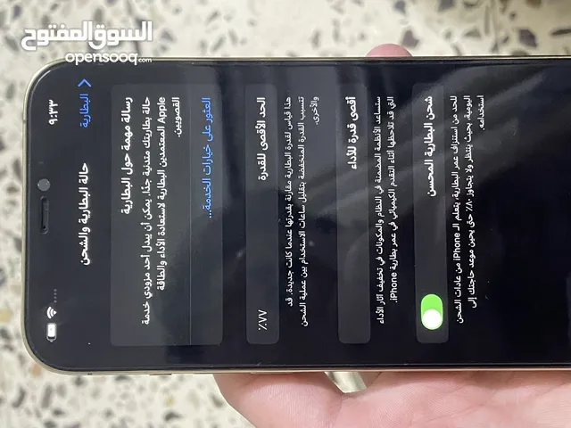 12برو ماكس