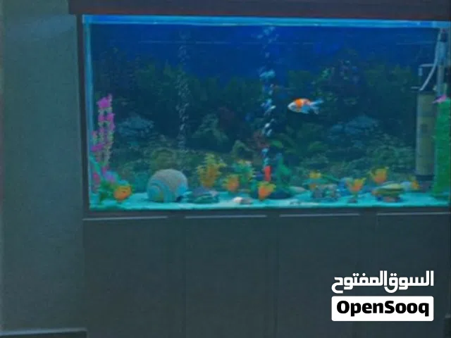 حوض سمك مع دولاب احدية