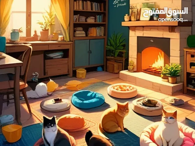 مطلوب شريك او شريكه لمشروع ناجح بالامارات باذن الله