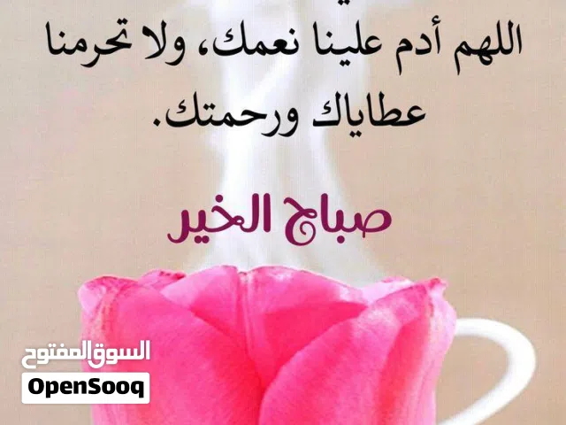 سامسونج a21s