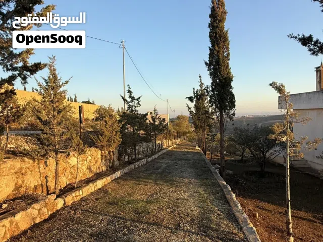 Farm Land for Sale in Zarqa Graiba