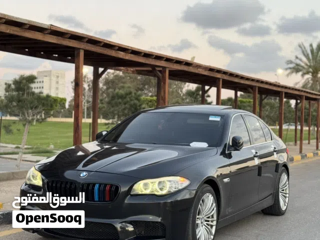 2012 BMW 5 Series 528