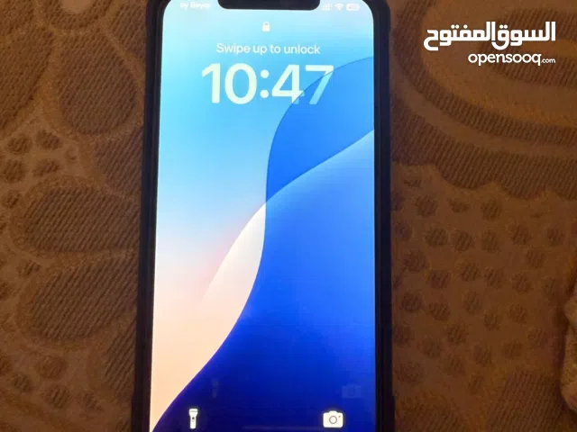 iPhone 12 Pro Max 256