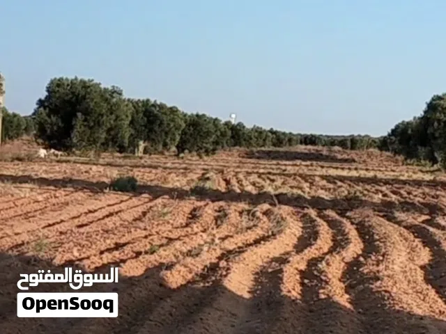 للبيع أرض فلاحية صفاقس