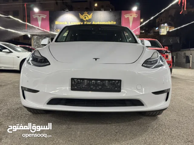 2021 تيسلا موديل Y Standard Range