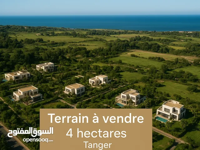 Mixed Use Land for Sale in Tanger ville