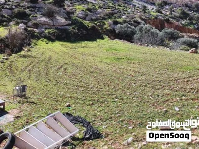ارض تصنيف أ منطقة الصرة