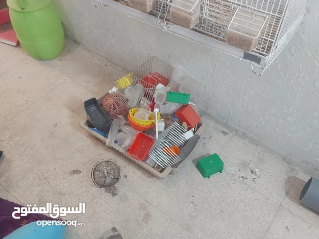 اقفاص للطيور للبيع