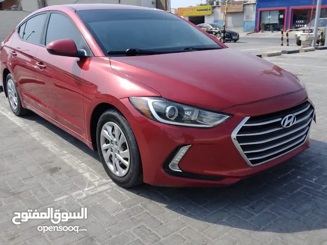 Used Hyundai Elantra in Ajman