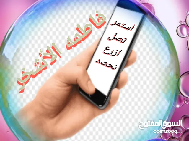 تسويق وبناء فريق