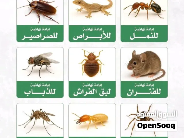 شركه المدخر لمكافحة الحشرات وتنضيف المباني