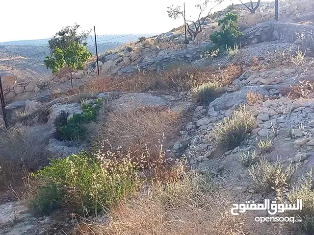 Mixed Use Land for Sale in Irbid Fo'ara