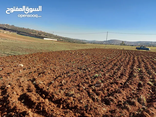 Farm Land for Sale in Amman Dabouq