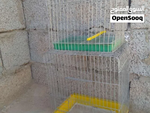 القفص بي 15 يا بلاش