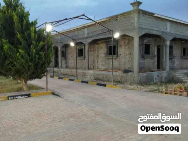 مزرعة الطلحية مساحة 9000م علي شارعين تبعد من قطران جديد 300م رئاسي كيلو اسطبلات خيل