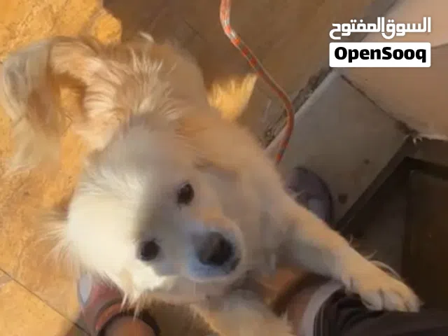 مطلوب ذكر للانثى الجميلة هذه