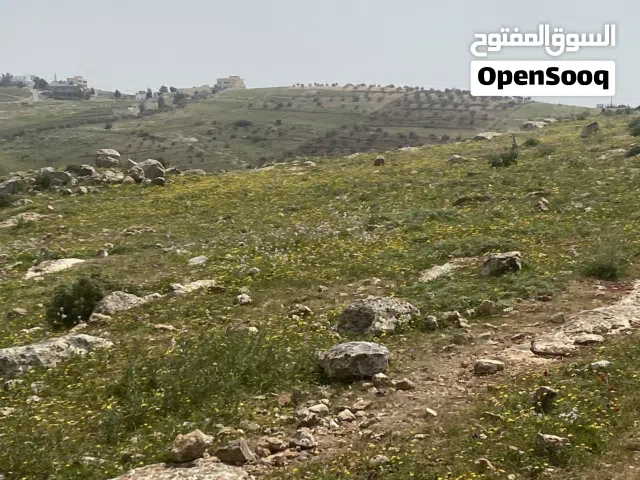 Farm Land for Sale in Jerash Qafqafa