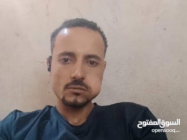 سائق سيارة سائق شاحنة