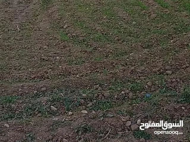 Residential Land for Sale in Tunis Other