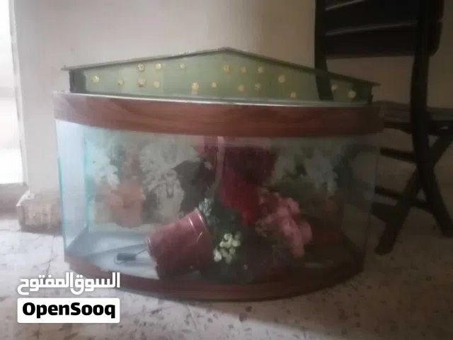 حوض سمك زينة للبيع 80س×45س