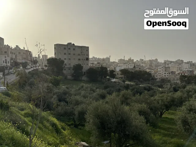 Residential Land for Sale in Amman Al Qwaismeh