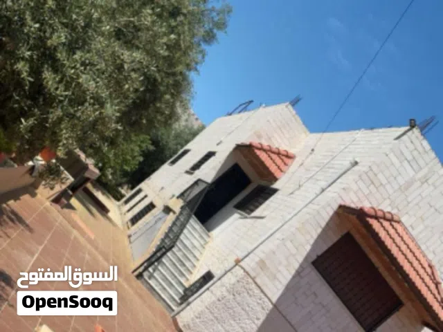 *بيت مستقل للبيع* الحي الشرقي قرب حديقة الورود على دونم كامل.